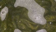 Load and play video in Gallery viewer, Apple Sage Heart Bath Bomb
